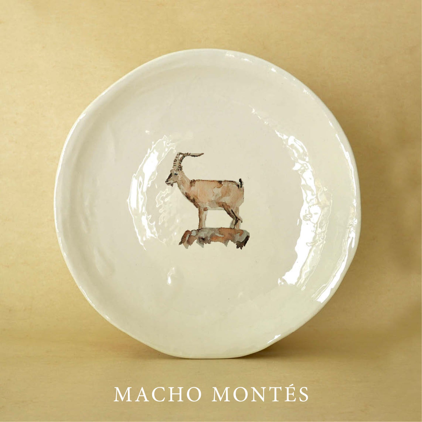 PLATOS DE POSTRE CAMPO